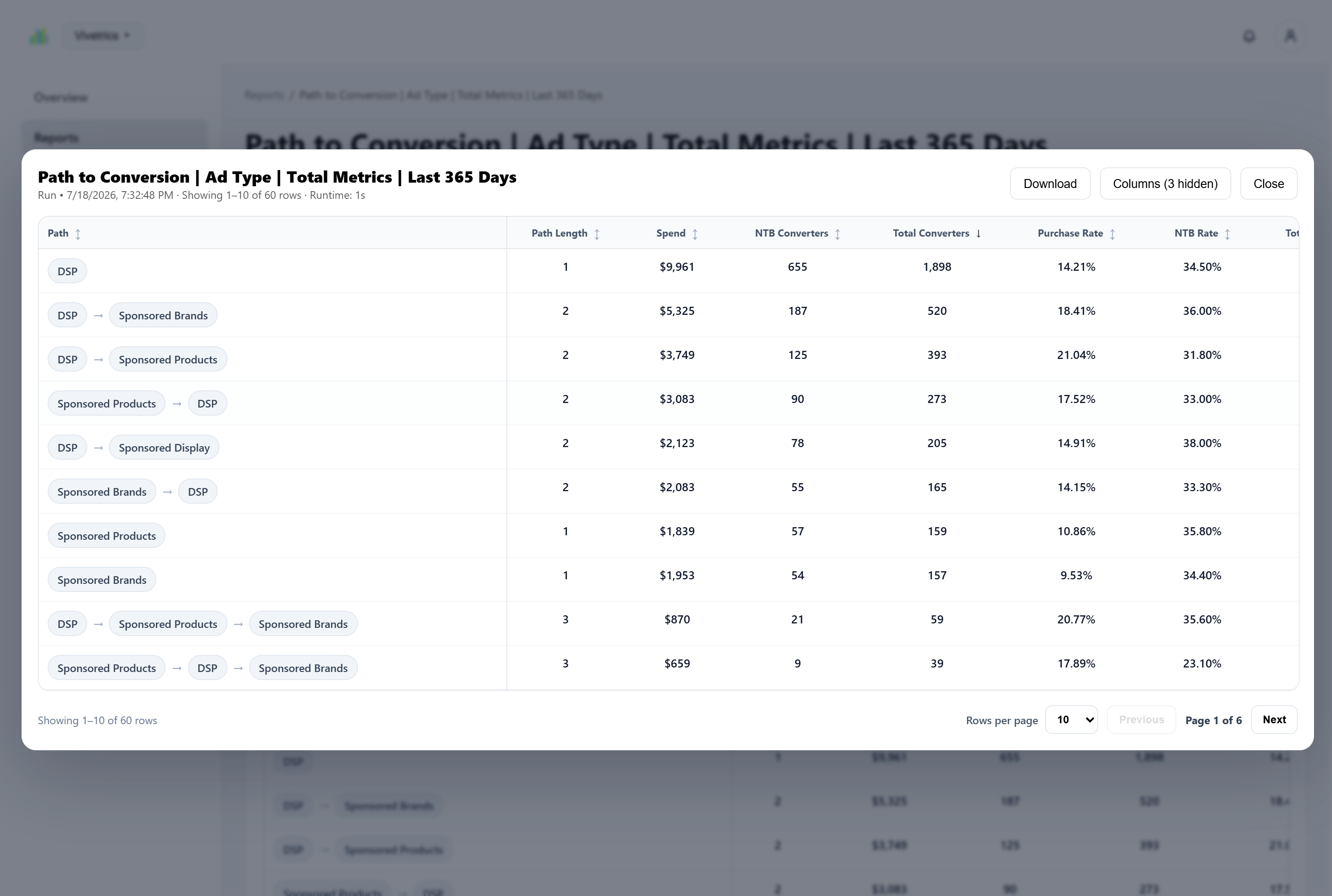 Expanded Vivetrics report output showing multi-touch conversion paths and report metrics.